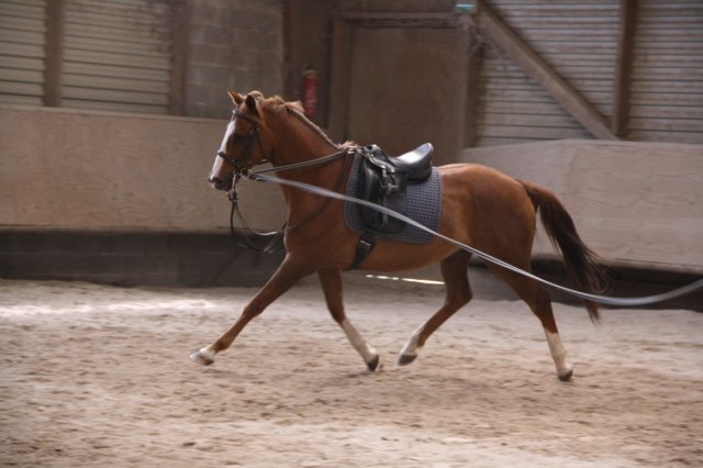 Juin 2010